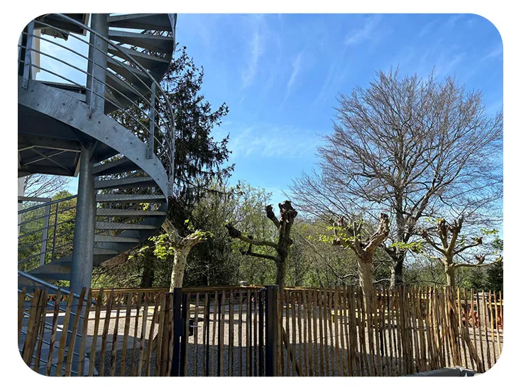 Passerelle métallique et terrasse en bois bordées d'arbres, sous un ciel dégagé