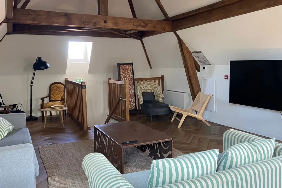 Espace salon commun sous charpente, canapés rayés et téléviseur